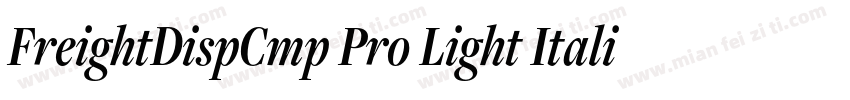 FreightDispCmp Pro Light Italic字体转换